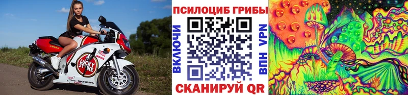 Псилоцибиновые грибы Psilocybine cubensis Афипский