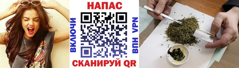 Канабис Ganja Афипский